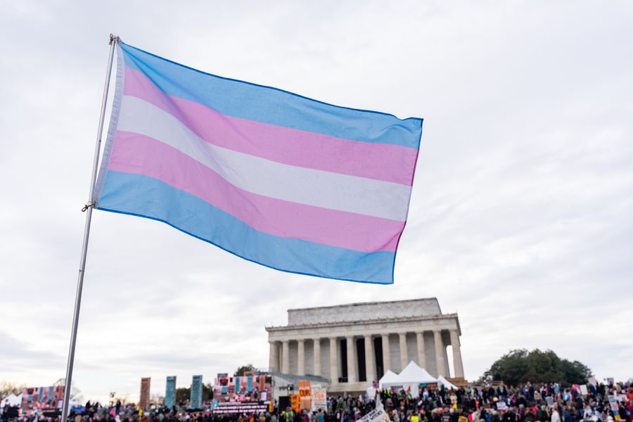 Trans flag