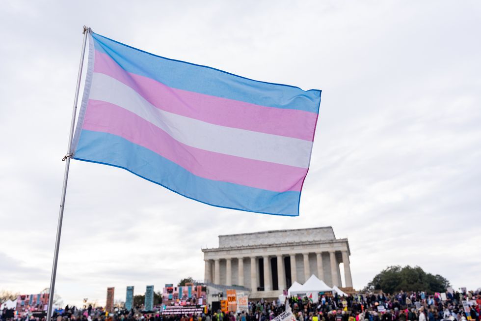 Trans flag