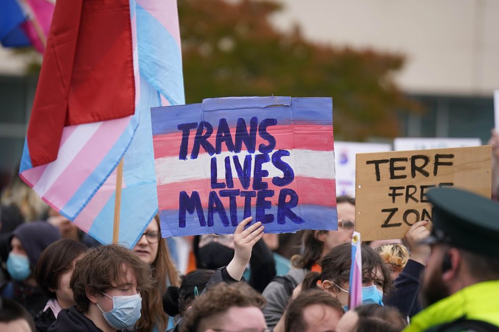 Trans pride placard