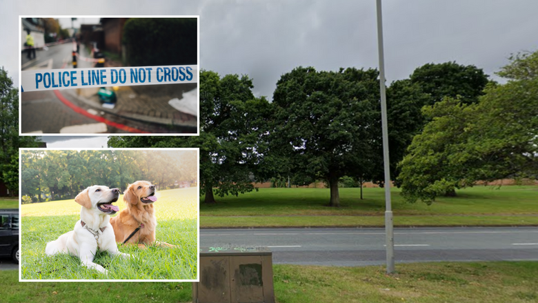 Liverpool Two dogs mysteriously die after eating unknown white substance found in park