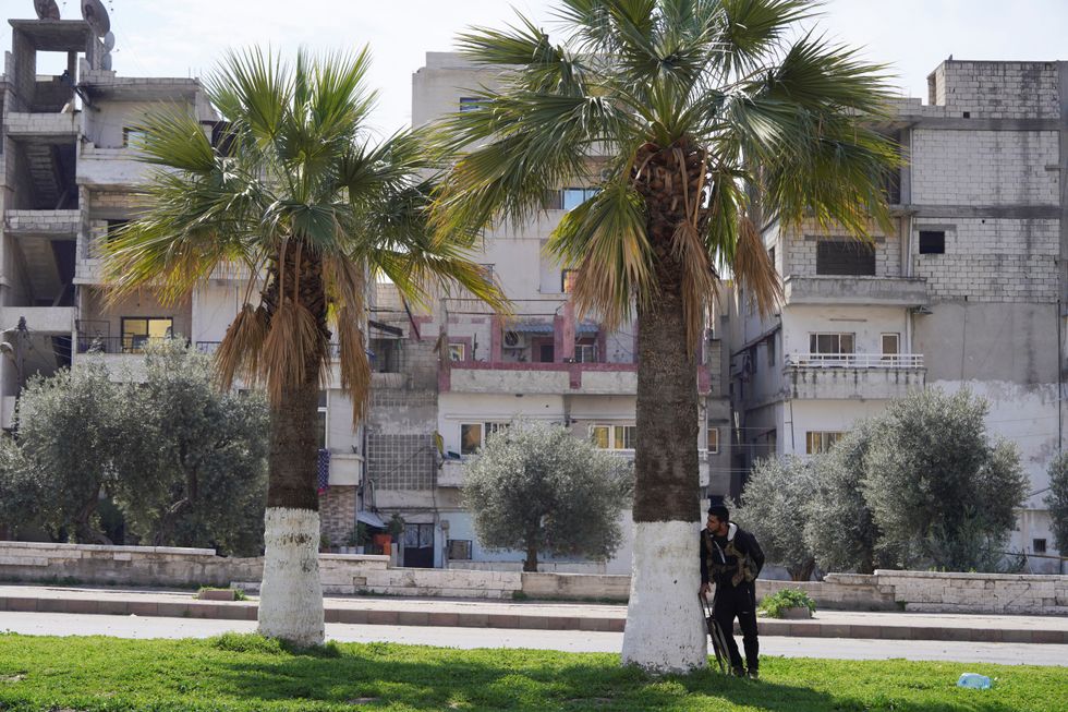 \u200bA member of the Syrian security forces stands near a tree while holding his weapon