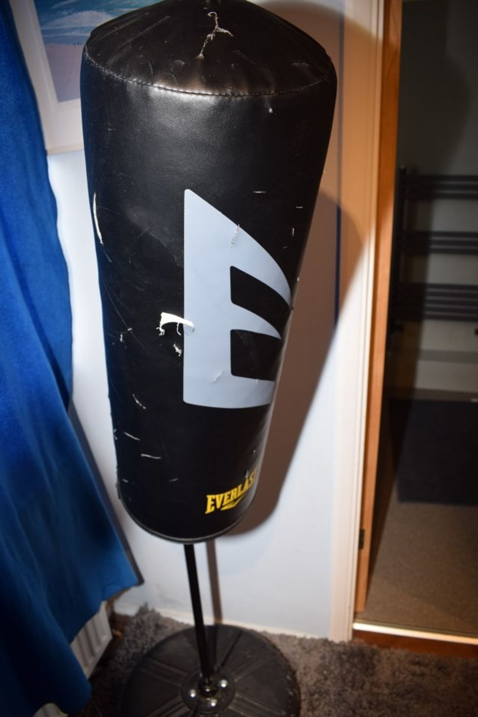 u200bA punchbag with puncture marks found in the house of Neo-Nazi satanist Cameron Finnigan