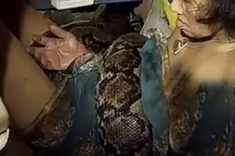 u200bArrom Arunroj, 64, is held in the coils of 4-metre-long python