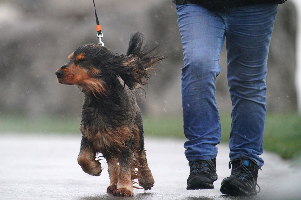 u200bDog walkers are being warned ahead of this week