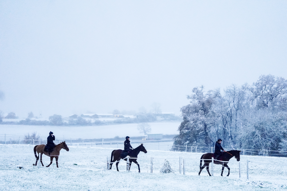 u200bHorses on the gallops at Sam Drinkwater's Granary Stables, Strensham, Worcestershire