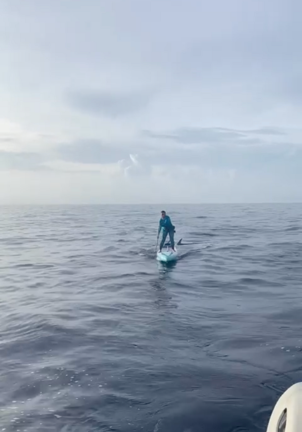 \u200bPaddleboarder with hammerhead in tow