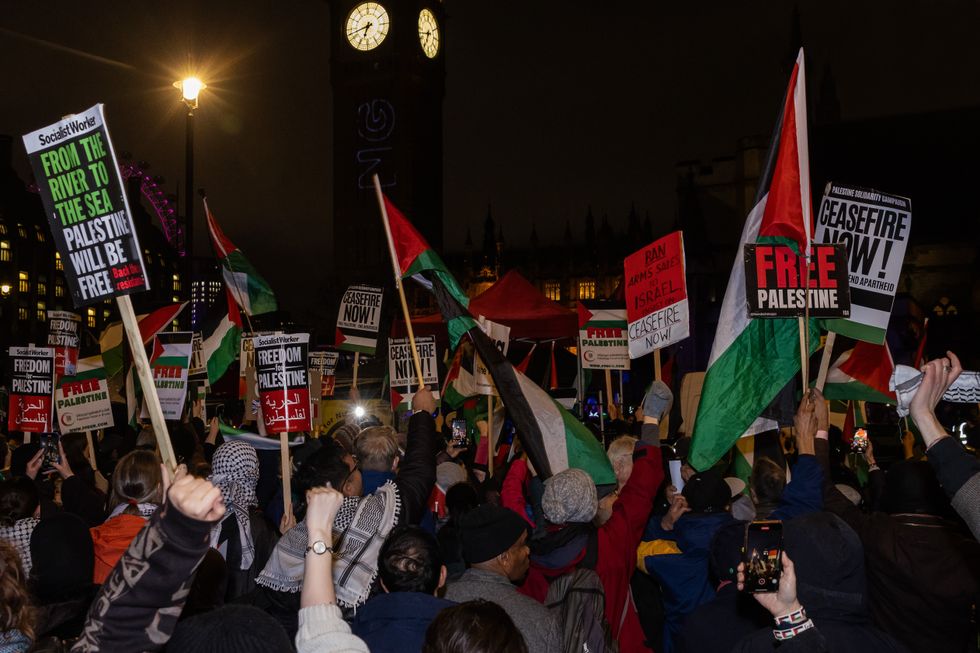 \u200bPro-Palestine protesters outside Parliament