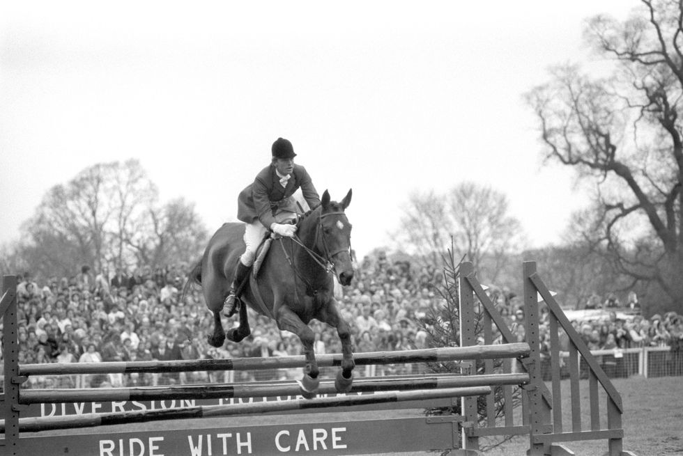 \u200bRichard Meade, on his horse Wayfarer, in the Munich Olympic Games