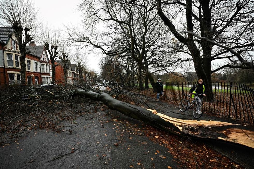 u200bStorm Darragh caused trees to fall down in Liverpool