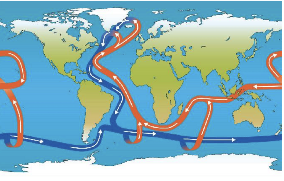 UK weather: Collapse of ocean ‘conveyor belt’ could plunge British ...