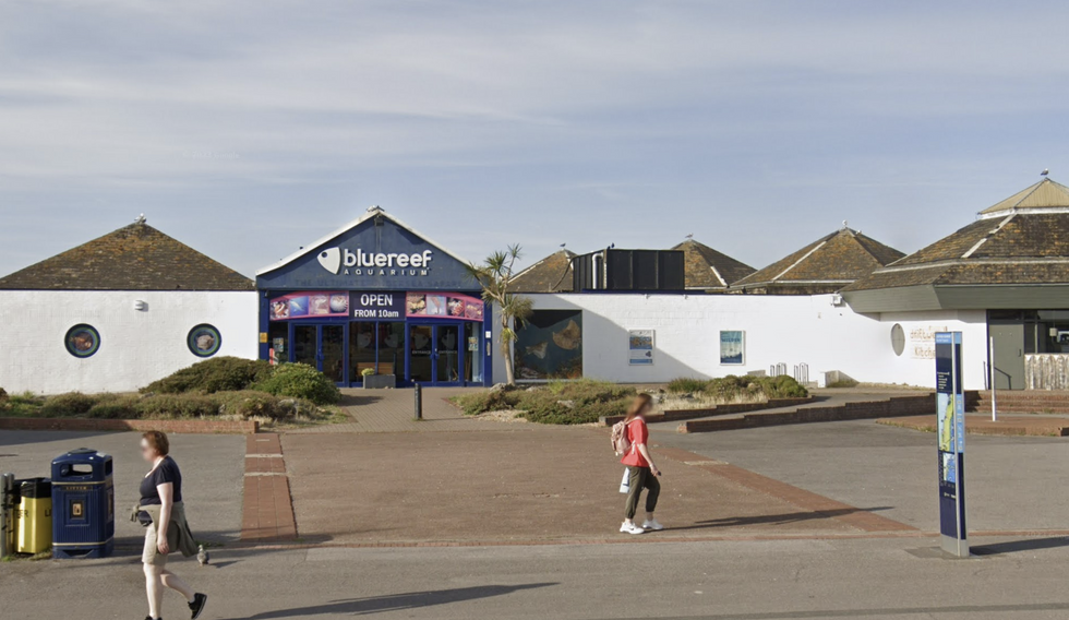 u200bThe Blue Reef Aquarium has been closed