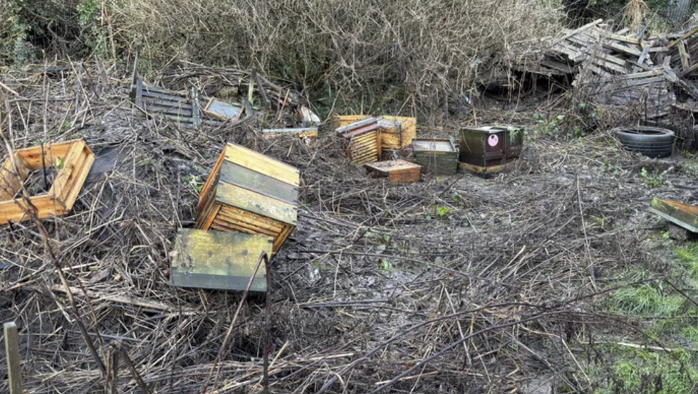 u200bThe hives were destroyed in the widespread flooding