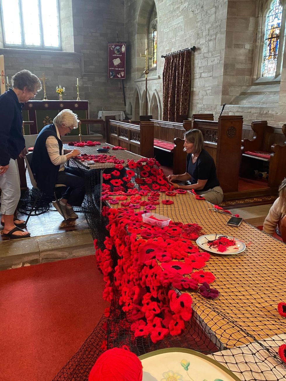 Village 'blown away' as visitors from around UK visit Remembrance Poppy cascade