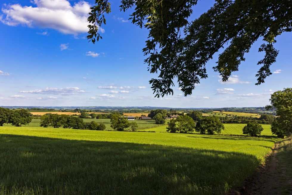 Tony Iommi home: Black Sabbath star lived in a £3million mansion in a ...