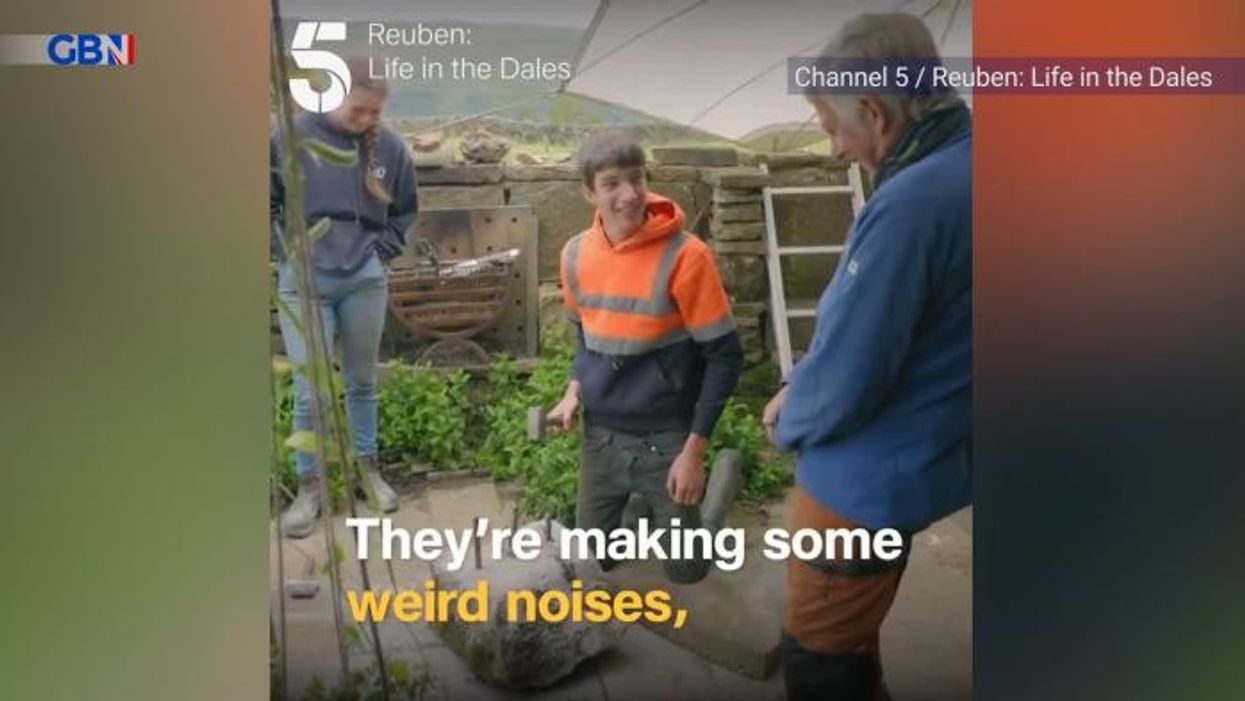 Our Yorkshire Farm's Reuben Owen shares real reason for dad Clive's absence in new solo Channel 5 show
