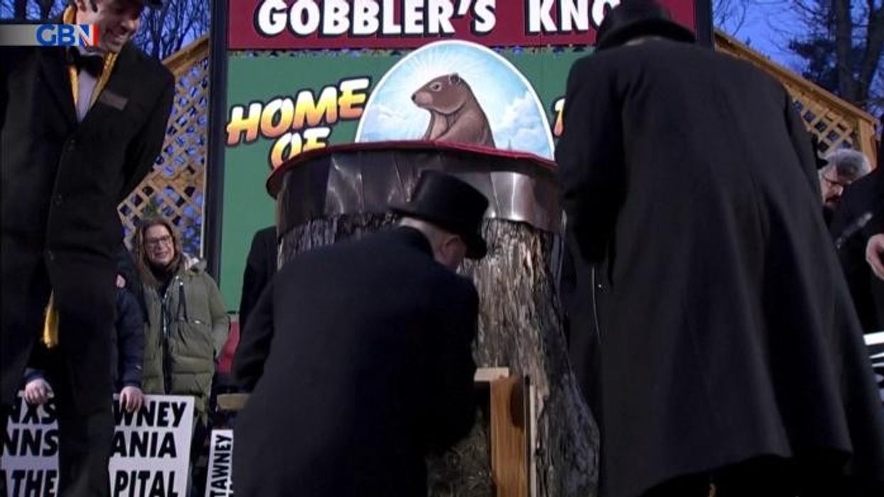 Groundhog Day: Punxsutawney Phil doesn't see his shadow and predicts an early spring for the US