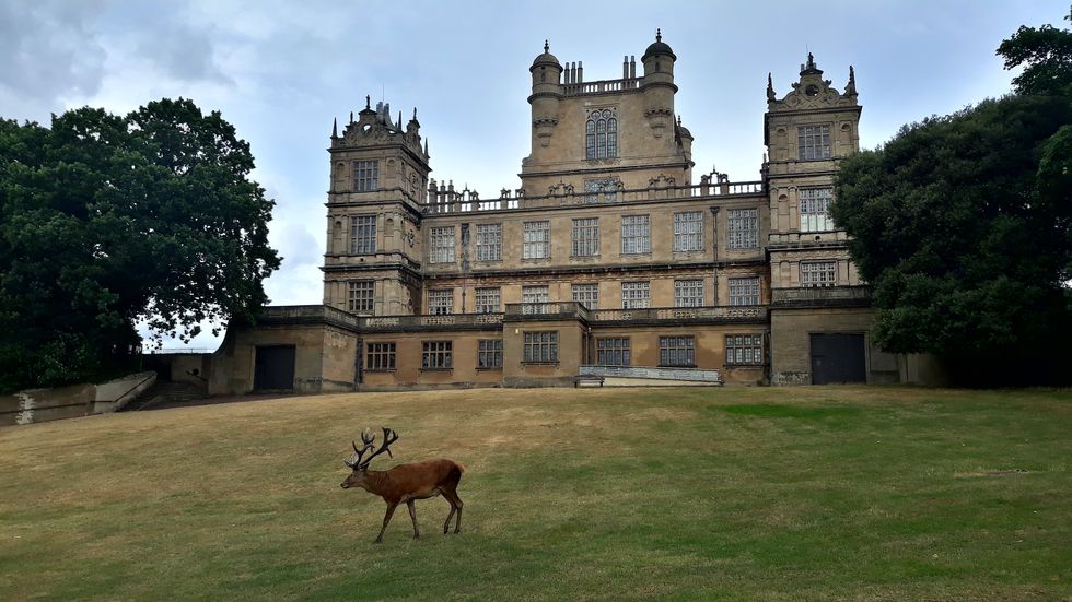 Wollaton Park